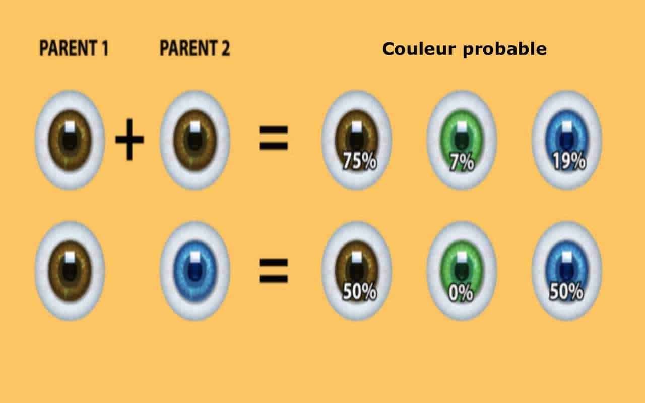 découvrez les secrets de la génétique des cheveux roux. apprenez comment les gènes influencent la couleur de vos cheveux, les origines des roux et les caractéristiques uniques associées. une exploration fascinante de l'hérédité et des traits rares.