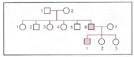 découvrez les secrets de la génétique des cheveux roux : d'où vient cette belle couleur unique, comment les gènes influencent la pigmentation et ce que cela signifie pour ceux qui portent fièrement cette teinte rare.