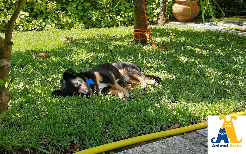 découvrez notre avis sur assur good deal, la plateforme qui vous permet de dénicher les meilleures offres d'assurance. que vous soyez à la recherche d'une couverture adéquate ou d'un prix compétitif, notre guide vous aide à faire le bon choix pour sécuriser vos biens et votre avenir.